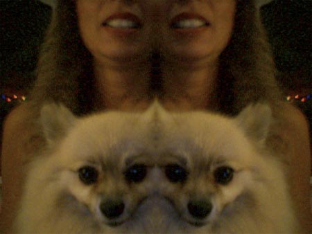 Photo 46