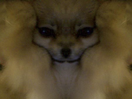 Photo 48