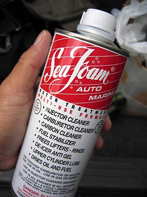 20060331_seafoam.jpg