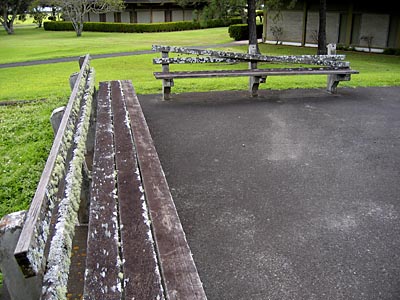 Waimea Benches