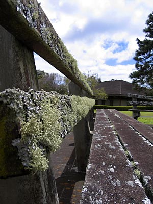 Waimea Benches