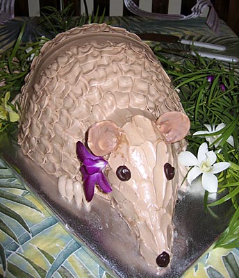 Armadillo Cake