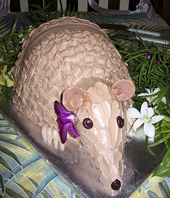 Armadillo Cake