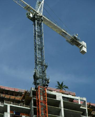20070804_buildingtree.jpg