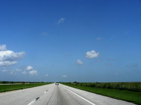 Alligator Alley