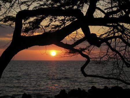 Kohala Sunset