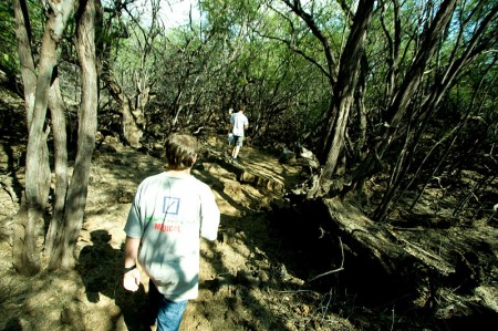 On the trail to the Petroglyph Cache